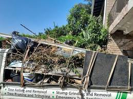 Retail Junk Removal in Castle Dale, UT